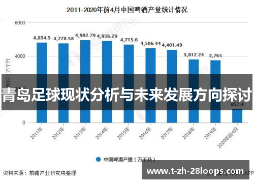 青岛足球现状分析与未来发展方向探讨